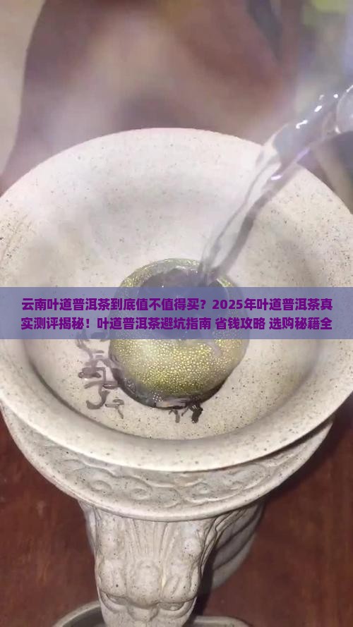 云南叶道普洱茶