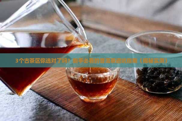 普洱茶的三大古茶区