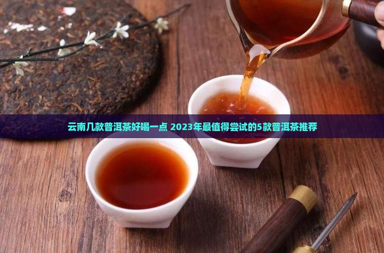 云南几款普洱茶好喝一点