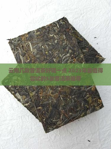 云南几款普洱茶好喝一点