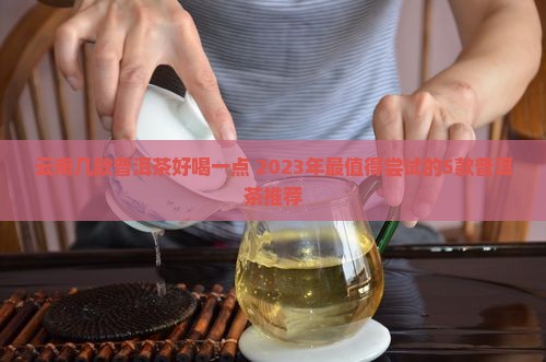 云南几款普洱茶好喝一点