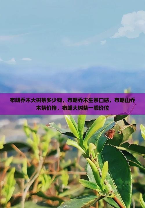 布朗乔木大树茶多少钱