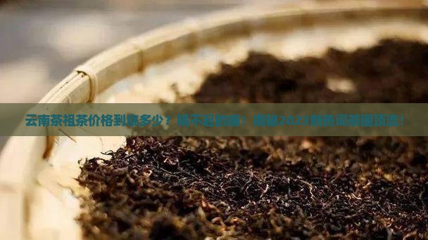 云南茶祖茶价格