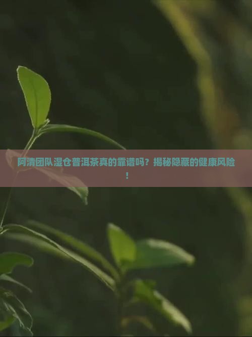 阿清团队湿仓普洱茶