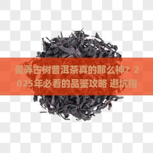 曼弄古树普洱茶