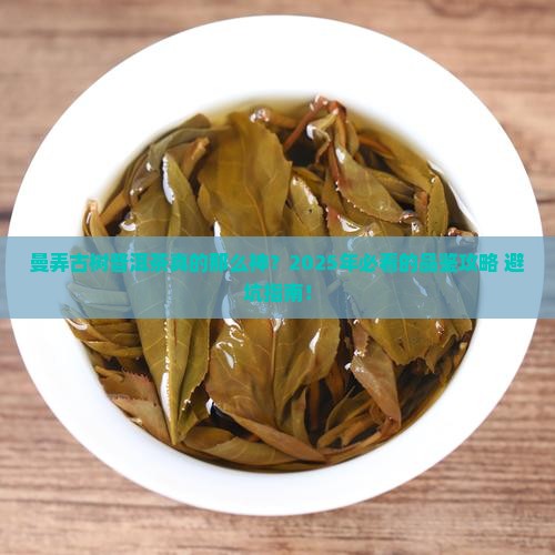 曼弄古树普洱茶