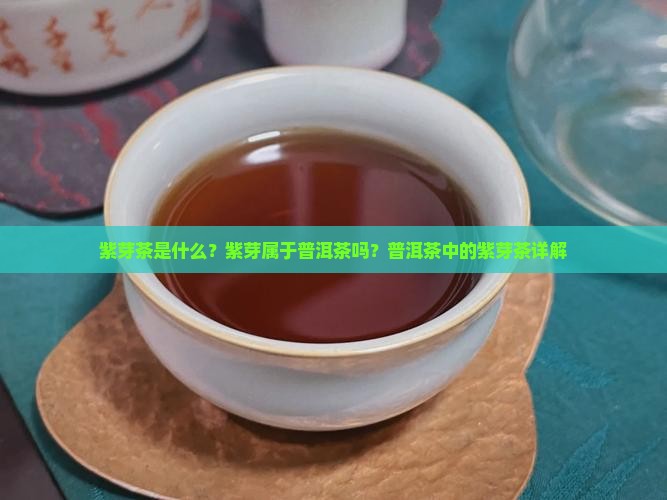 紫芽茶是乌龙茶还是普洱茶