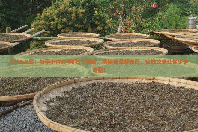 如何了解茶叶知识普洱茶
