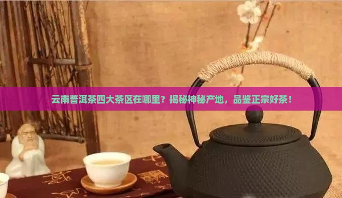 云南普洱茶四大茶区在哪里