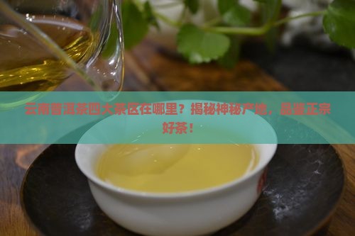 云南普洱茶四大茶区在哪里