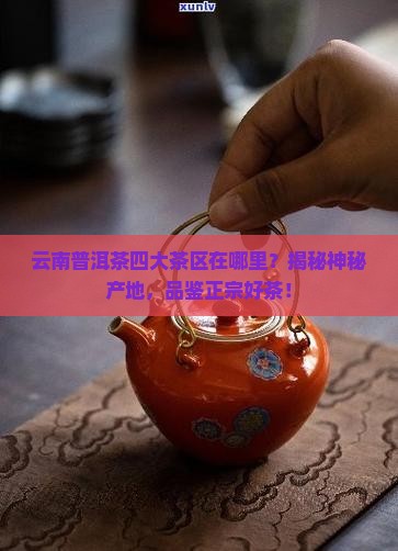 云南普洱茶四大茶区在哪里