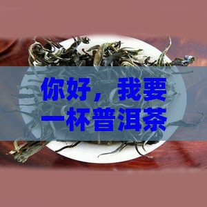 你好我要一杯普洱茶