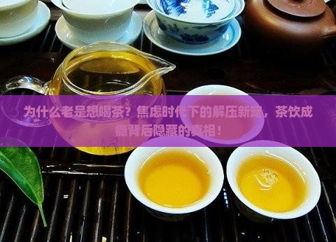 为什么老是想喝茶