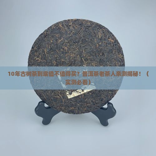 普洱茶古树茶10年