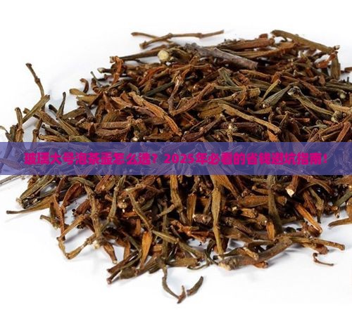 玻璃大号泡茶壶