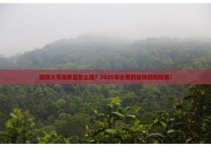 玻璃大号泡茶壶