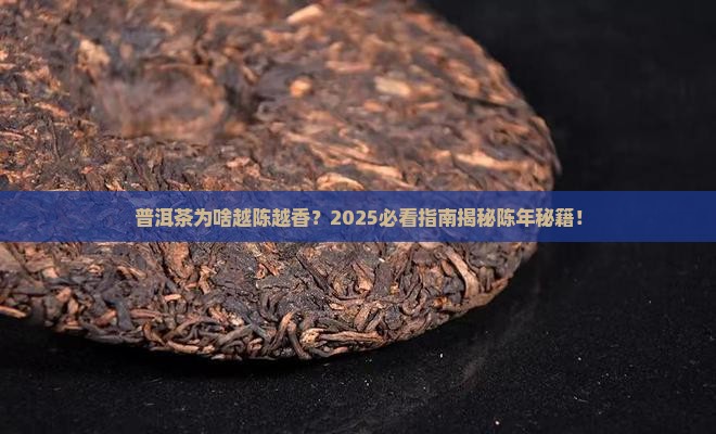 陈而弥香的普洱茶是什么茶