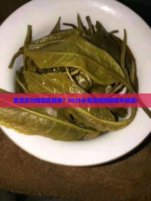 陈而弥香的普洱茶是什么茶