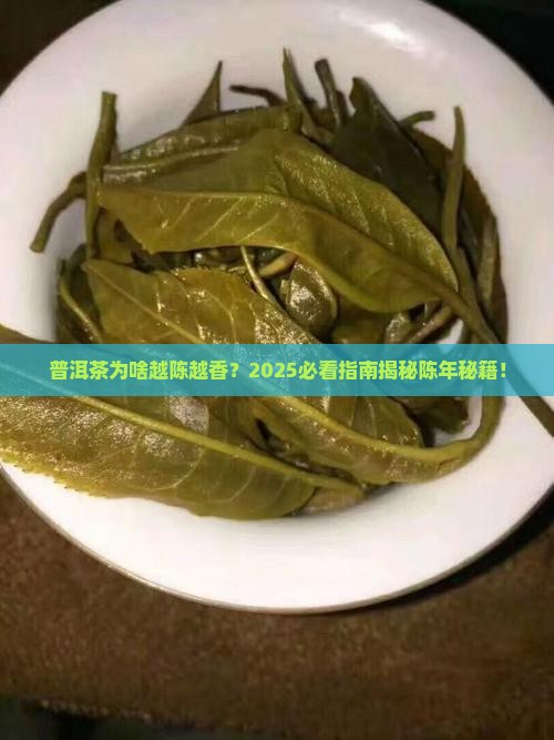陈而弥香的普洱茶是什么茶
