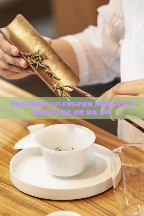 天福乔木普洱茶
