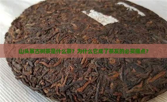 山头寨古树茶是什么茶