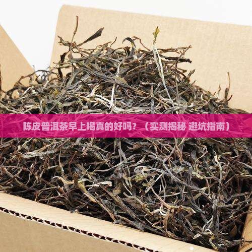 陈皮普洱茶早上喝好吗