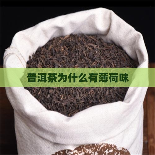 普洱茶为什么有薄荷味