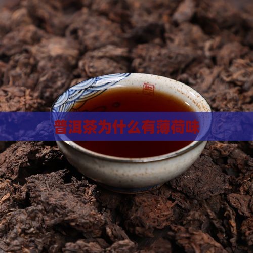 普洱茶为什么有薄荷味