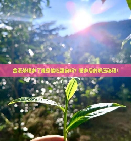 普洱茶喝多了难受能吃甜食吗 普洱茶喝多了难受能吃甜食吗