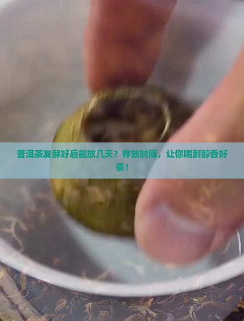 普洱茶发酵好后能放几天