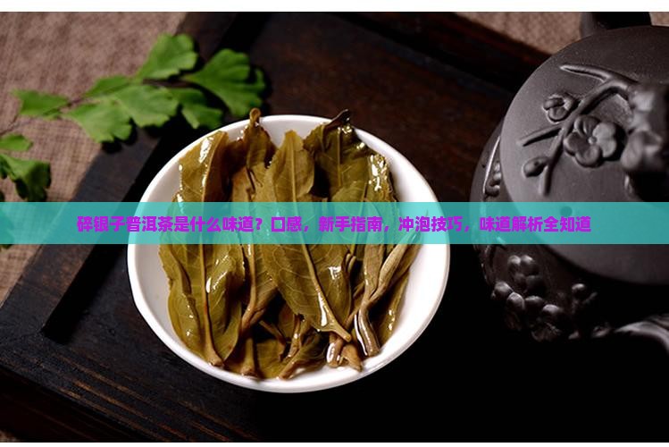 碎银子普洱茶是什么味道