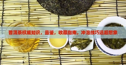 普洱茶权威知识