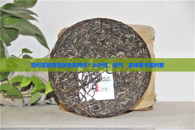 如何区别普洱茶生茶好坏