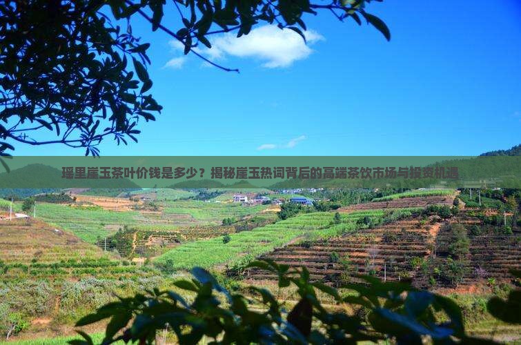 瑶里崖玉茶叶价钱