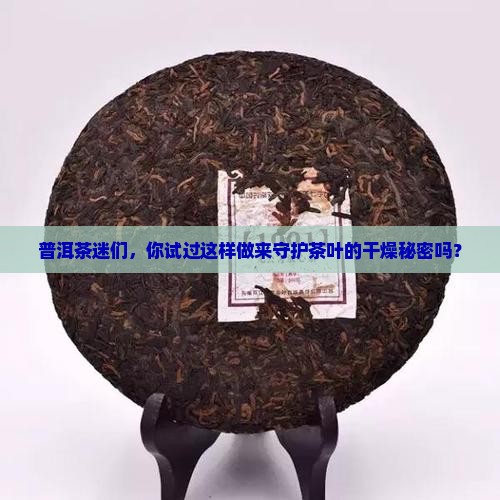 普洱茶用什么除湿