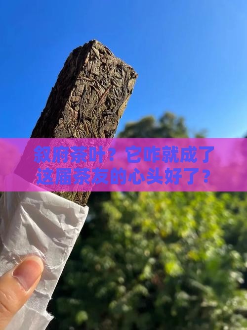 叙府茶叶的品牌形象