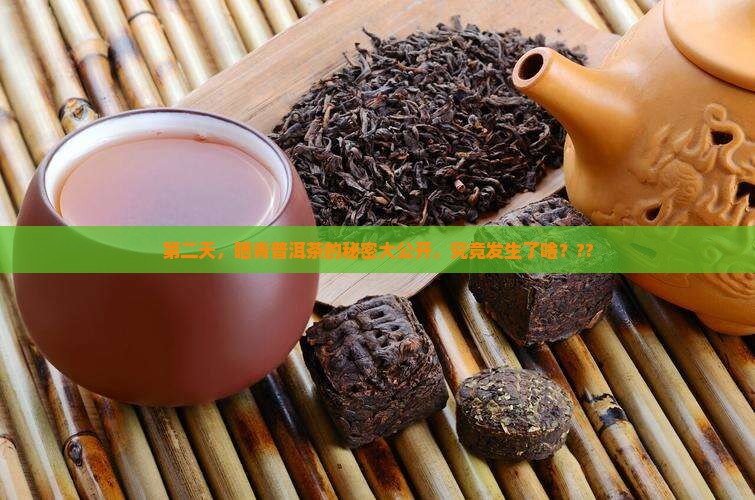 普洱茶第二天晒青
