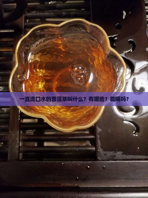 一直流口水的普洱茶