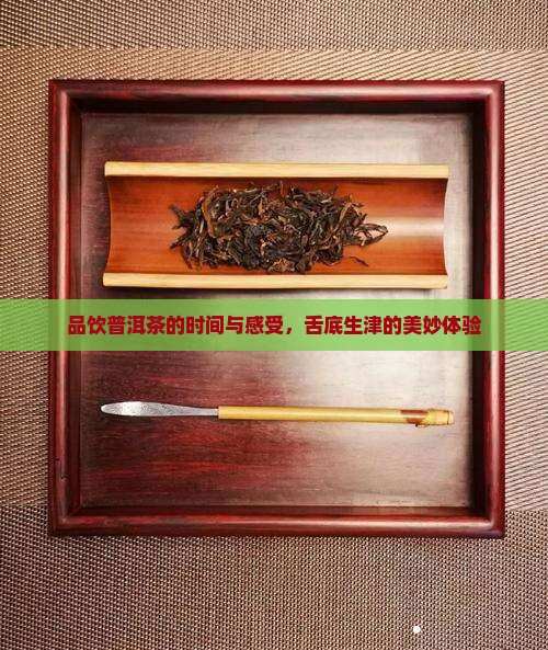 品饮普洱茶感受
