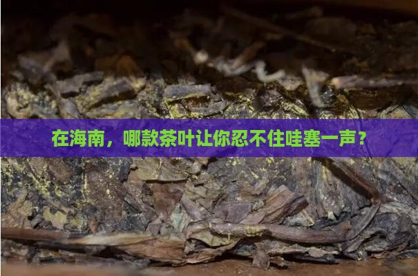 海南茶叶哪家好