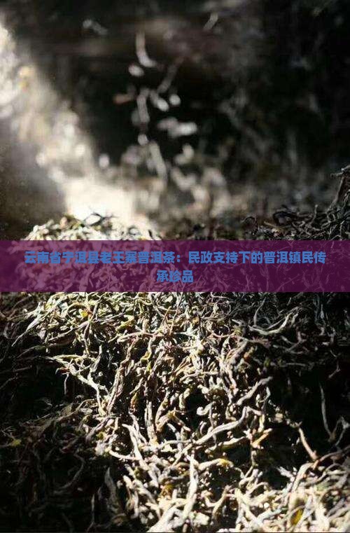 宁洱老王寨普洱茶