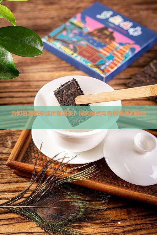 慕茗而来普洱茶
