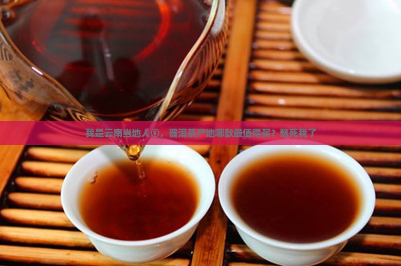 云南省普洱茶产地