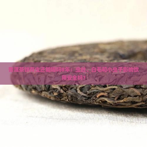普洱茶饼有虫还能喝吗8年