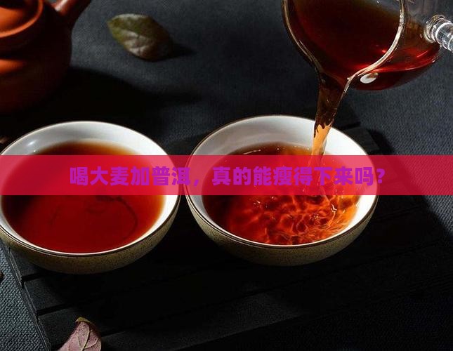 大麦加普洱茶能减肥吗