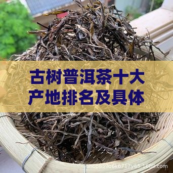 古树普洱茶十大产地