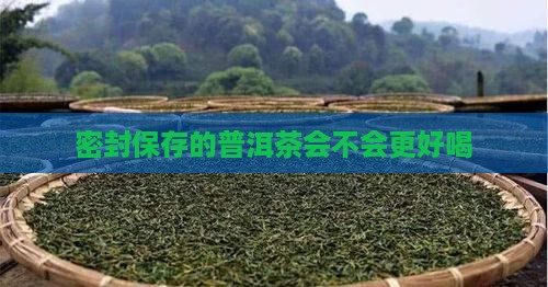 密封装普洱茶好不好喝