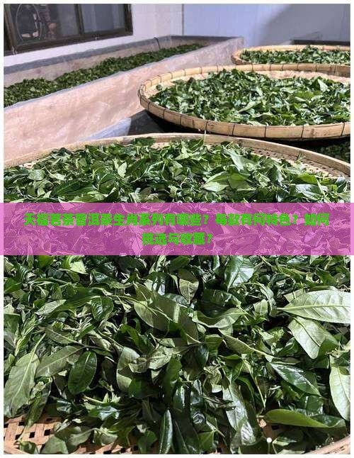 天福茗茶普洱茶生肖