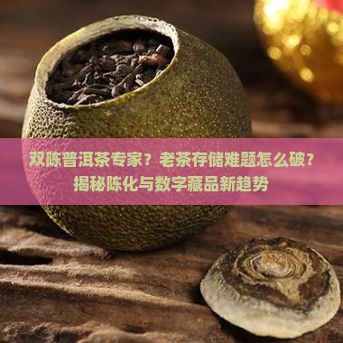 双陈普洱茶专家