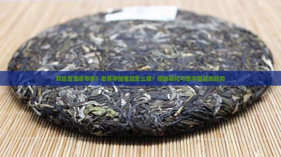双陈普洱茶专家